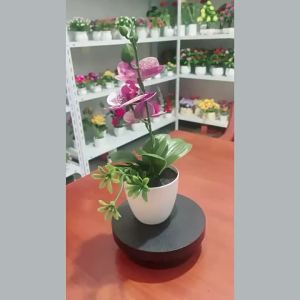 Artificial Lily Flower Butterfly Orchid Simulated Bonsai Artificial Plant Home Wedding Party Decor