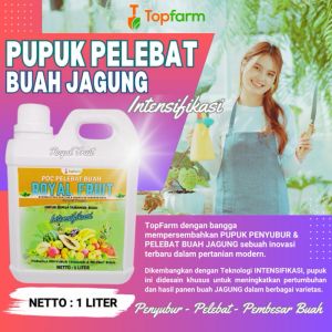 Pupuk TopFarm: Solusi Terbaik untuk Petani Jagung