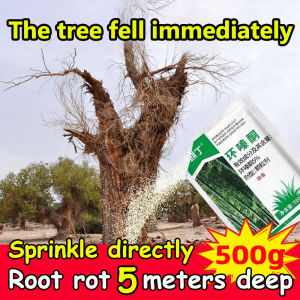 The tree fell immediately tree killer Sprinkle directly herbicide Root rot  5 meters deep weed killer racun pokok racun rumput 除草剂 环嗪酮