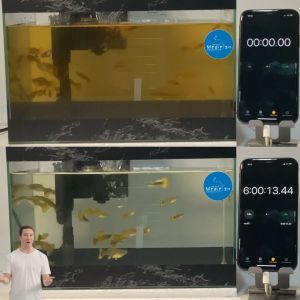 PRO PURIFY By Medifsih วัสดุกรองเรซิ่นบรรจุถุงตาข่าย 100g. แก้ปัญหาน้ำขุ่นเหลืองเห็นผลภายใน 24 ชม