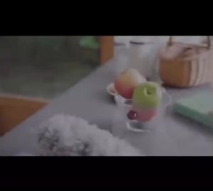 [280CM] Kitchenut Extendable Duster Bulu Ayam Laras Penyapu Habuk Bendable Dust Removal Fan Ceiling Cleaning Brushes