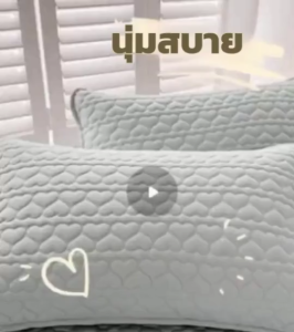 ปลอกกันเปื้อนหมอน ปลอกหมอน ปลอกหมอนกันไรฝุ่น ผ้าฝ้าย100% ปลอกหมอนหนุน กันไรฝุ่น กันน้ำลาย กันเหงื่อ นุ่ม Pillow Case