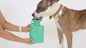 Springer Growler Dog Travel Bottle ขวดน้ำ กระบอกน้ำสัตว์เลี้ยงพกพา จุน้ำได้ 1.3 ลิตร นำเข้าจากอเมริกา