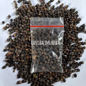 Buah Angkung Kering Obat Stroke 100 Biji