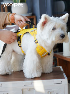 YCQPET | Vest Style Dog Leash for Small Medium Dogs