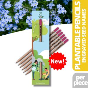 Ecò Plantable Pencil FORGET ME NOT Flower Herb & Vegetable Seeds Eco-Friendly Organic Sunflower
