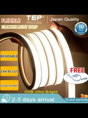 【Free Plug】TEP led lights strip light ceiling LED with light waterproof flexible with light embedded