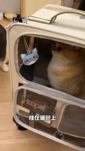 Puxinnuo Cat Soothing Spray Destress Calming Calm Irritated Stress Relax Catnip Extract Semburan Menenangkan Kucing静猫喷雾