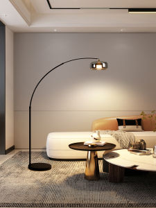Aiskdan | Italian Minimalist Atmosphere Floor Lamp