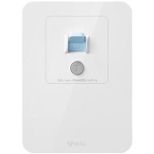Bull | Leakage Protection Socket Switch for Air Conditioner and Water Heater Home Use