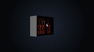 Digi-Cabi Lux Series (NEW) DT-210V Violin Electronic Dry Cabinet