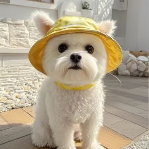 Pet Polyester Hat with Breathable Ear Holes Adjustable Rope Buckle Dog Sun Cap Pet Outdoor Travel Supplies for Medium Small Dogs