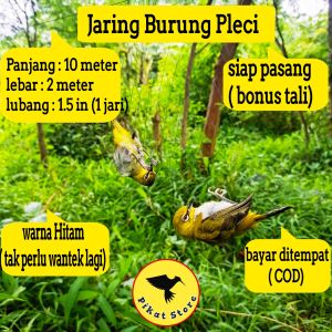 JARING BURUNG PLECI #10 JARING BURUNG KACAMATA JARING BURUNG KECIL JARING BURUNG 1 IN JARING BURUNG PRENJAK JARING BURUNG MURAH JALA JARING BURUNG PLECI JALA JARING BURUNG KACAMATA JALA PIKAT BURUNG PRENJAK JALA PIKAT EMPRIT JALA PIKAT PIPIT JARING MANUK