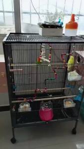 【Local Ready stock】Bird cage budgerigar cage large starling cardinal bird black bird peony parrot color breeding cage L