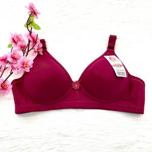 Women bra nonwired B Cup Normal push up bra(Baju dalam wanita tak ada besi)无钢铁/没有铁 B Cup 棉质女内衣