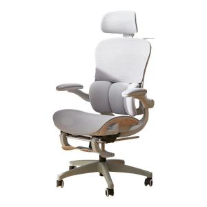 BOJOJAN | Ergonomic Office Chair