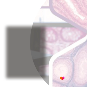 Laboratory Manual in Human Histology - 9789719821151 - C&E Bookshop