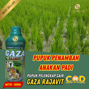 GAZA RAJAVIT 500ML Pupuk Penambah Anakan Padi Paling Ampuh NPK Cair Penyubur Tanaman Padi Obat Pemacu Tunas Baru Pelebat Anakan Meningkatkan Produktivitas Panen Padi Sawah Terbukti Hasil Maksimal