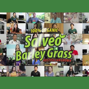 Salveo Barley Grass - Salveo Powder On The Go 12 Sachets per Box | BOOST your Health and Immunity 3 Box Bundle