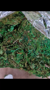 800g artificial green moss lumut hiasan lumut orkid artificial plants DIY decorative green moss lumut hiasan hijau artificial reindeer moss Decoration Decoration