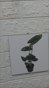 ( isi 1pcs) Hiasan Dinding Monstera 20x20cm - Hiasan Kamar - Hiasan Ruang Tamu