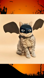 ชุดฮาโลวีนแมวหมา ชุดหน้ากาก Batman Joker Mask พร้อมปีกค้างคาว ชุดแฟนซีสัตว์เลี้ยง Halloween pet costume