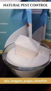 THERA USA Certified Pure Boric Acid Powder 600g - Multi-Purpose Pest Control & Wood Treatment Odorless