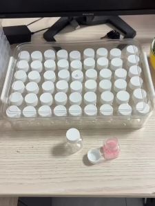 60Gird Transparent Plastic Storage Boxes Snap Lids and Removable Trays Bead and Jewelry Organizer for Diamond Painting Embroid