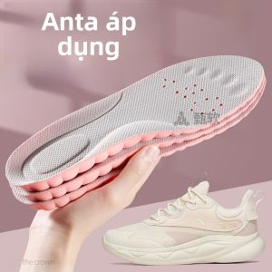 XIANZHAO | Đệm Giày Nữ Khử Mùi & Thấm Hút