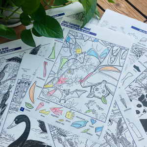 Visual Discovery Coloring Hidden Picture I Spy Hide And Seek Challenge Attention Span Toy for Children Aged 6 to 9
