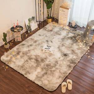 Gradient Dye Fluffy Rug Carpet Long Plush