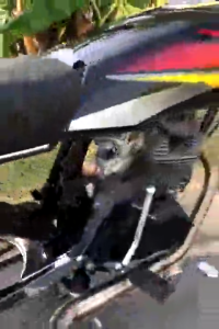 Begel/behel/planger kotak GL MAX/ GL PRO ORIGINAL chrome