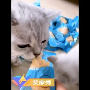 PETSEE Chicken Breast for Cat Isi Ayam Kucing MASTI Chicken Breast Makanan Kucing Ayam MASTI 雞胸肉 宠物 Cat Food Meat 鸡胸肉