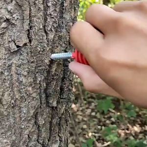 10pcs Electric Fence Insulator Insulator Pagar Listrik Ring Insulator Murah Ring Insulator  Jalur Kawat Pagar Listrik Kejut Untuk Tiang Kayu