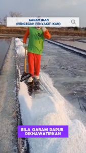 Garam Garem Ikan 500gr Kristal Grade A Premium Mencegah Penyakit Ikan Kolam Aquarium