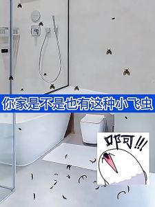 Sewage Small Flying Insects Extermination Insecticide Water Emulsion