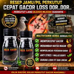 RAJA GACOR 100 BUTIR obat perkutut malas bunyi anti stres biar rajin bunyi dan manggung pil apbn jpj