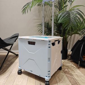 Multi-purpose Trolley