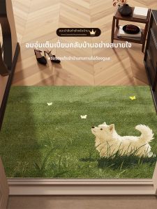 Indoor Dust Removing and Durable Door Mat