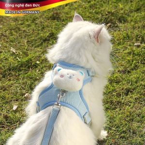Escape Prevention Pet Vest & Leash