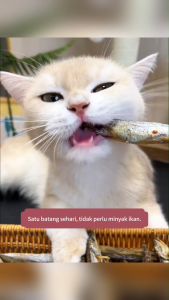 Deeplove Ikan Laut Dalam Kering Beku Kaya dengan Minyak Ikan dan Omega-3 Membantu Membuat Bulu Kucing Anda Lebih Cantik