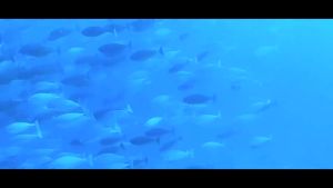 [SIRIM Certified] SJCAM SJ4000 Dual Screen Action Cam 4K Ultra HD Kamera Kalisk Air 30M Sesuai Untuk Rakaman Dalam Air