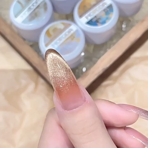 Nail polish cat eye series nail polish nail polish nail salon special phototherapy glue