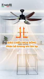 Quạt trần đèn Fratelli FSE06S 6 cánh Nhựa ABS Xám Bạc - 137 cm