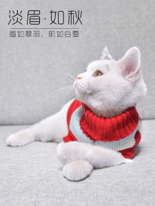 Warm Pure Color Cat Sweater for Kittens And Hairless Cats Autumn Winter Pet Clothing Blue White Cat Sweater Cozy Feline Fashion
