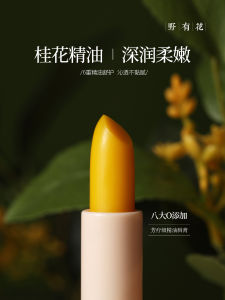 Wild Flower Osmanthus Essential Oil Lip Balm Moisturizing Base Hydrating Glossy Men Women Care Lipstick Chinese Brand