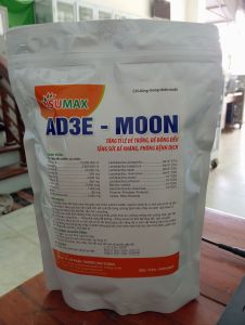 AD3E MOON