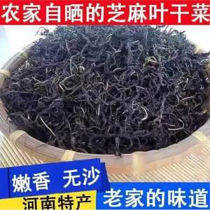 Sun-dried Premium Dehydrated Sesame Leaves Dried Vegetable