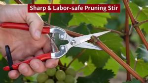 Sturdy Pruning Shears Multipurpose Garden Scissors for Fruit Tree & Bonsai Trimming