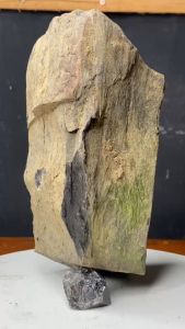 1 viên gỗ hóa thạch 17cm tự nhiên hàng việt dùng trang trí nhà cửa sân vườn nặng 2kg5 8